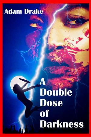 Book cover of A Double Dose of Darkness