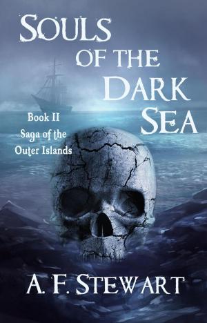 Cover of the book Souls of the Dark Sea by Amy Sanderson