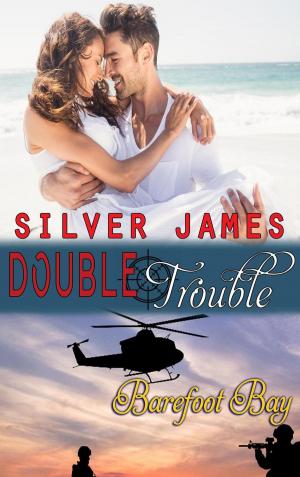 Cover of the book Double Trouble by Cassandra O'Leary