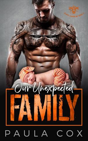 Cover of the book Our Unexpected Family by Claire St. Rose