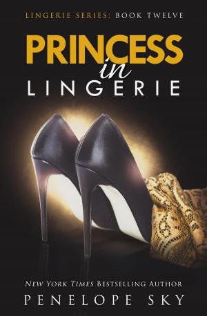 Cover of the book Princess in Lingerie by Lesley Cookman
