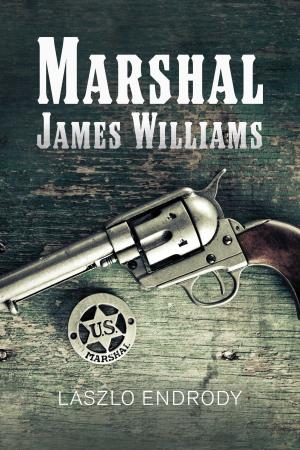 bigCover of the book Marshal James Williams by 