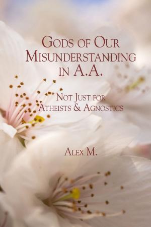 Cover of the book Gods of Our Misunderstanding in A.A. by John Martel