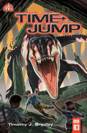 Cover of the book Time Jump by Ilya Tourtidis