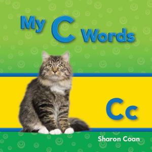 Cover of the book My C Words by Christina Hill