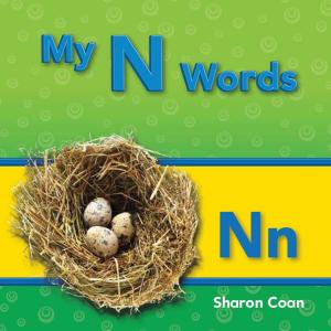 Cover of the book My N Words by Dona Herweck Rice