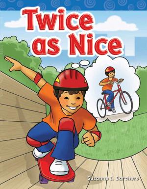 Cover of the book Twice as Nice by Tamara Hollingsworth