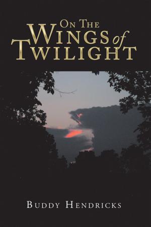 Cover of the book On the Wings of Twilight by David Zacconi