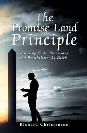 Cover of the book The Promise Land Principle by Milt Partee