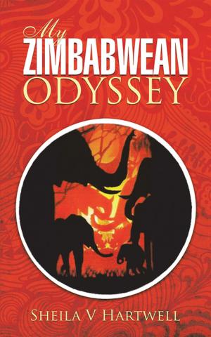 Cover of the book My Zimbabwean Odyssey by J. Antony Miller