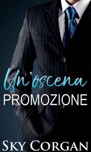 Cover of the book Un'oscena promozione by Elvira Drake