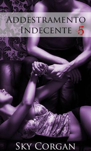 Cover of the book Addestramento Indecente 5 by Sky Corgan