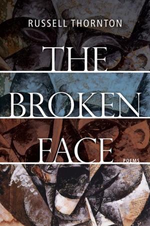 Book cover of The Broken Face