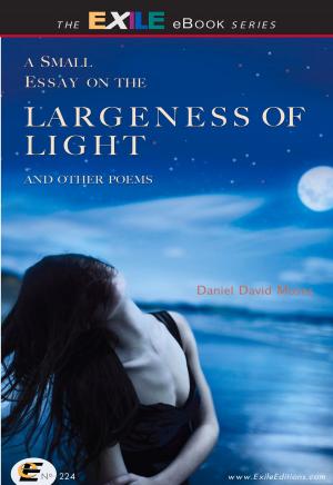 Cover of the book A Small Essay on the Largeness of Light and Other Poems by Christopher Gretkus