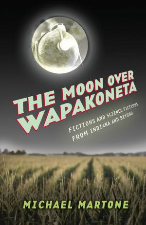 Cover of the book The Moon over Wapakoneta by Abraham David
