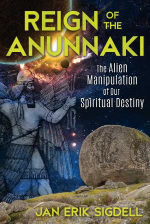 Book cover of Reign of the Anunnaki