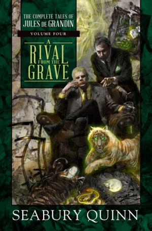 Cover of the book A Rival from the Grave by Erin Peabody