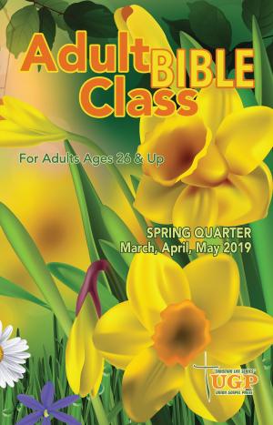 Cover of the book Adult Bible Class by Kevin Toney