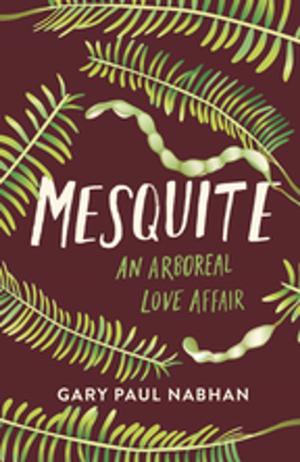 Book cover of Mesquite