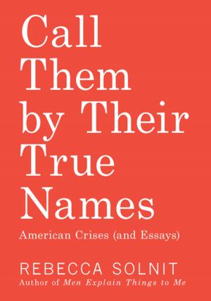 Cover of the book Call Them by Their True Names by Rebecca Solnit