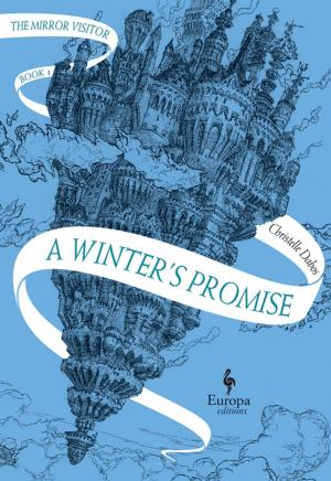 bigCover of the book A Winter's Promise by 