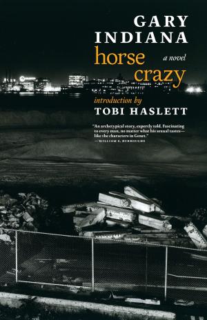 Book cover of Horse Crazy