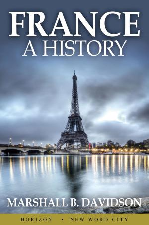 bigCover of the book France: A History by 