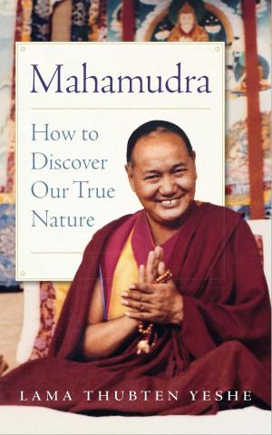 Cover of the book Mahamudra by Lama Thubten Yeshe, Lama Thubten Zopa Rinpoche