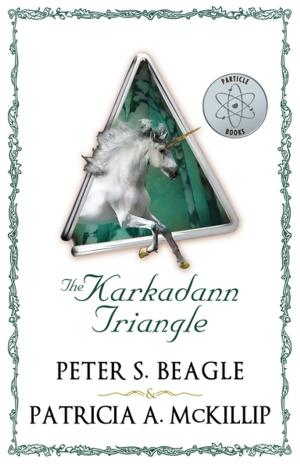 Cover of the book The Karkadann Triangle by George R R Martin, Patrick Rothfuss, Robin Hobb, Paolo Bacigalupi