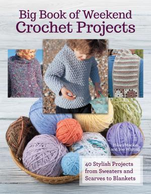 Book cover of Big Book Of Weekend Crochet Projects