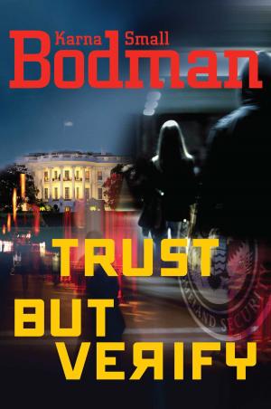 Cover of the book Trust But Verify by Stephen Coonts