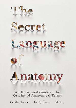 Cover of the book The Secret Language of Anatomy by Theodore Dimon, Jr