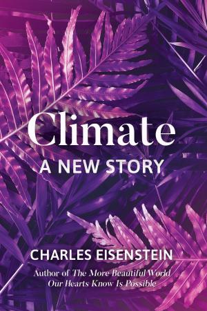 Cover of the book Climate--A New Story by Michael Kern