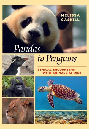 Cover of the book Pandas to Penguins by Dr. Genevieve M. Kehoe, Ph.D