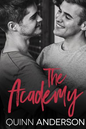 Cover of the book The Academy by Willow Summers, K.F. Breene