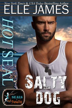 Cover of the book Hot SEAL, Salty Dog by Elle James, Delilah Devlin