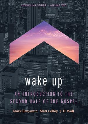 Cover of the book Wake Up: An Introduction to the Second Half of the Gospel by Amberly  Strebeck