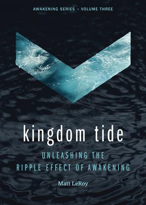 Cover of the book Kingdom Tide: Unleashing the Ripple Effect of Awakening by James V. Heidinger III
