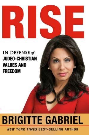Cover of the book Rise by Johnny Enlow