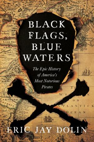 Cover of Black Flags, Blue Waters: The Epic History of America's Most Notorious Pirates