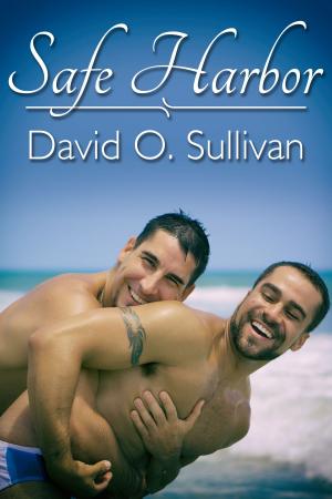 Cover of the book Safe Harbor by Drew Hunt