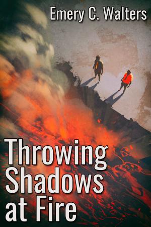 Cover of the book Throwing Shadows at Fire by J.T. Marie