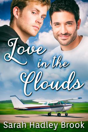 Cover of the book Love in the Clouds by Rick R. Reed
