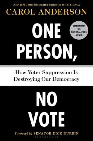 Cover of the book One Person, No Vote by Juan Cálcena Ramírez, Aldo Benítez, Juan Carlos Lezcano, Carlos 