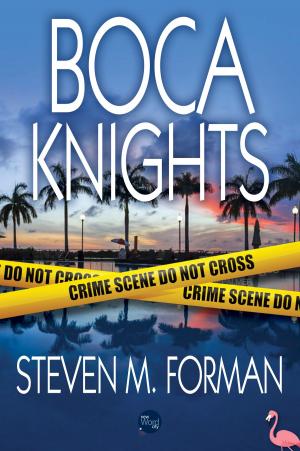 Cover of the book Boca Knights by Jeffery Deaver