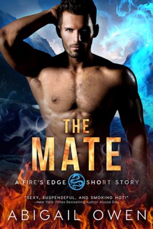 bigCover of the book The Mate by 