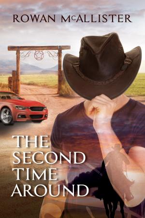 Cover of the book The Second Time Around by Shey Stahl