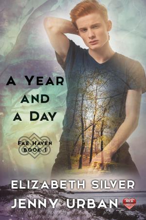 Book cover of A Year and A Day