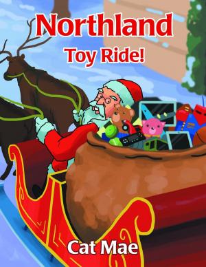 Cover of the book Northland Toy Ride! by Joe Carr