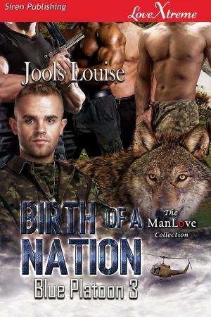 Cover of the book Birth of a Nation by Leah Blake